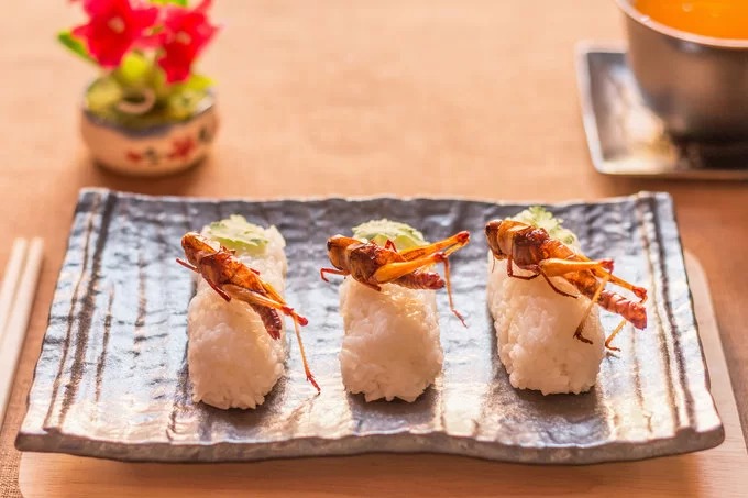 Sushi côn trùng - món ăn Nhật Bản độc lạ