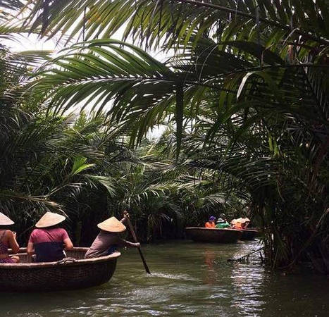 Thăm rừng dừa Bảy Mẫu - Trải nghiệm Hội An độc đáo