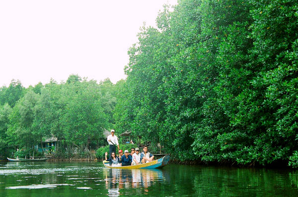 Tham quan rừng sát. Ảnh: khudulich