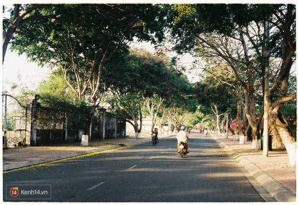 Con đường dẫn vào thị trấn. Ảnh: Kenh14