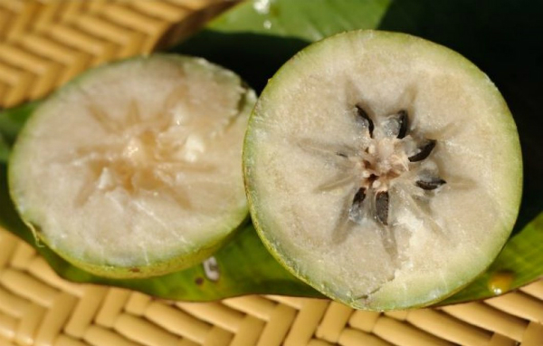 Vú sữa Lò Rèn đặc sản Tiền Giang