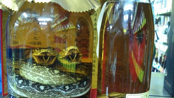 Awamori món ngon Okinawa