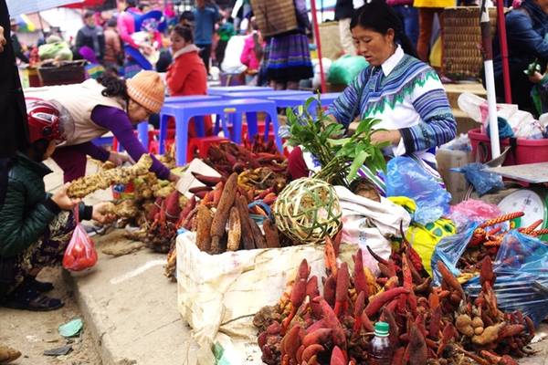 Mua thảo dược, cây thuốc quý Các loại cây thuốc như tam thất, ba kích, hà thủ ô... được người dân địa phương thu hoạch từ khắp nơi trong vùng đem về chợ phiên bán rất nhiều, nên du khách cũng có thể tìm mua để dùng hay đem về làm quà tặng bạn bè, gia đình.