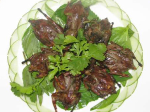 Chim mía Quảng Ngãi - iVIVU.com