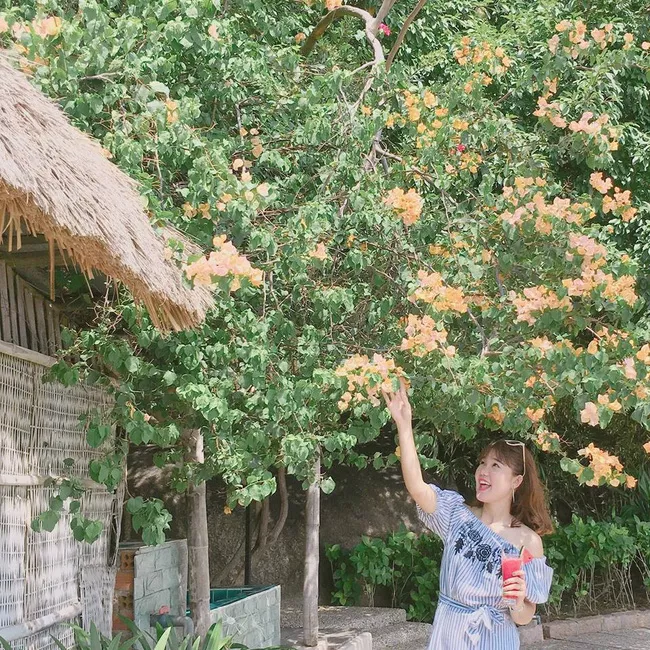 Chỗ nào cũng có thể chụp ảnh được.