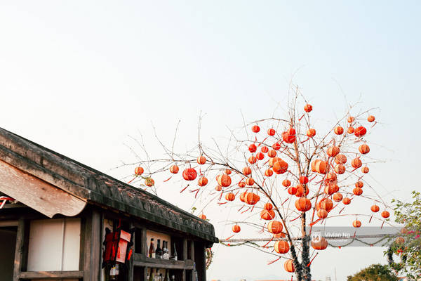 ai-sap-di-hoi-an-nho-ghi-chu-6-quan-cafe-moi-va-cuc-xinh-nay-ivivu-43 ai-sap-di-hoi-an-nho-ghi-chu-6-quan-cafe-moi-va-cuc-xinh-nay-ivivu-43