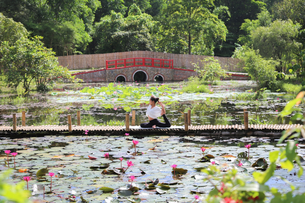 Dịch vụ bữa sáng linh hoạt Alba Wellness Valley