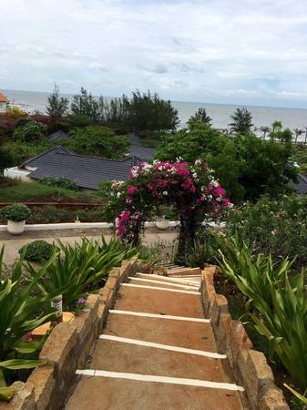 Alma Oasis Long Hải view từ trên cao