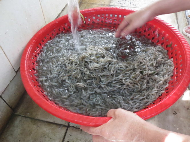Tép trấu chiên giòn Tân Châu