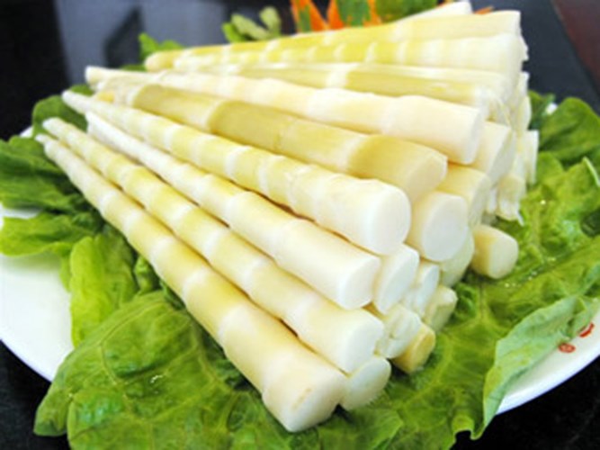 Cây le thuộc họ tre nứa khá điển hình trên vùng đất Tây Nguyên.