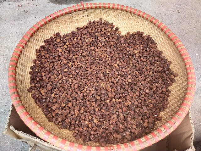Mắc mật phơi khô dùng trong ẩm thực Lạng Sơn