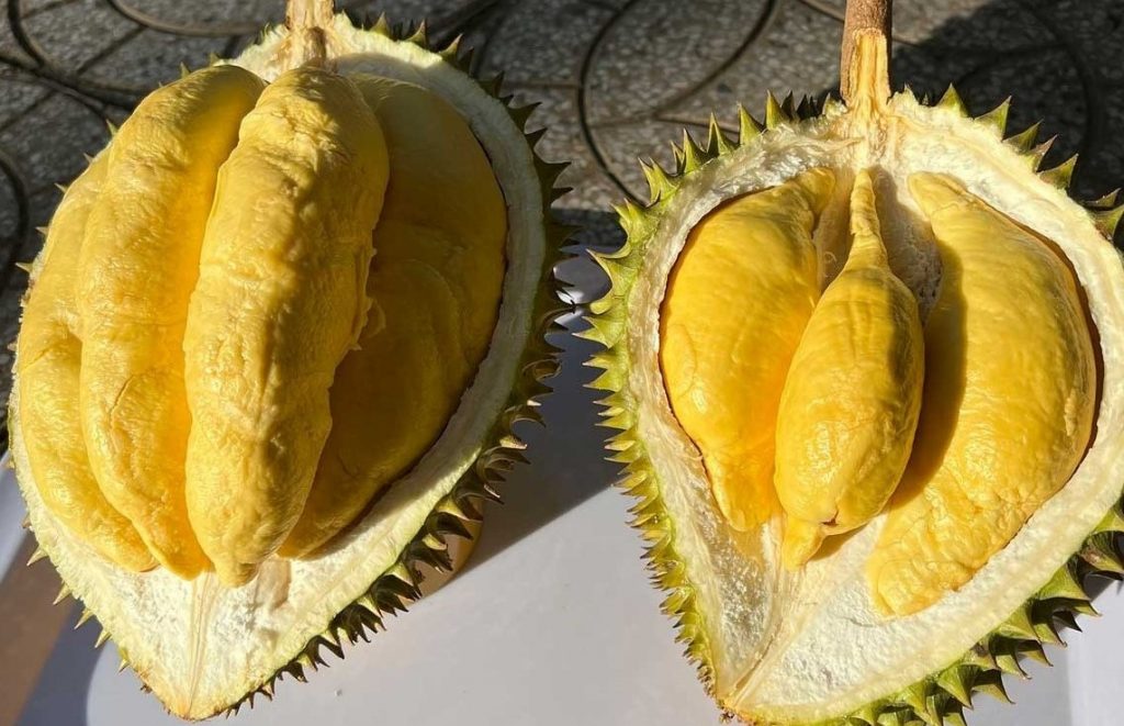 Sầu riêng Musang King trái cây đặc sản Malaysia