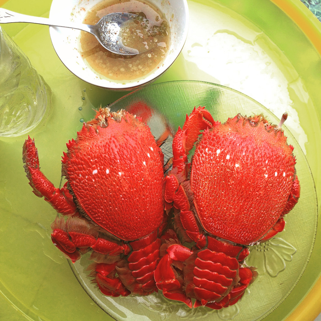 an-choi-ba-ngay-o-dao-phu-quy-chua-den-hai-trieu-dong-ivivu-13