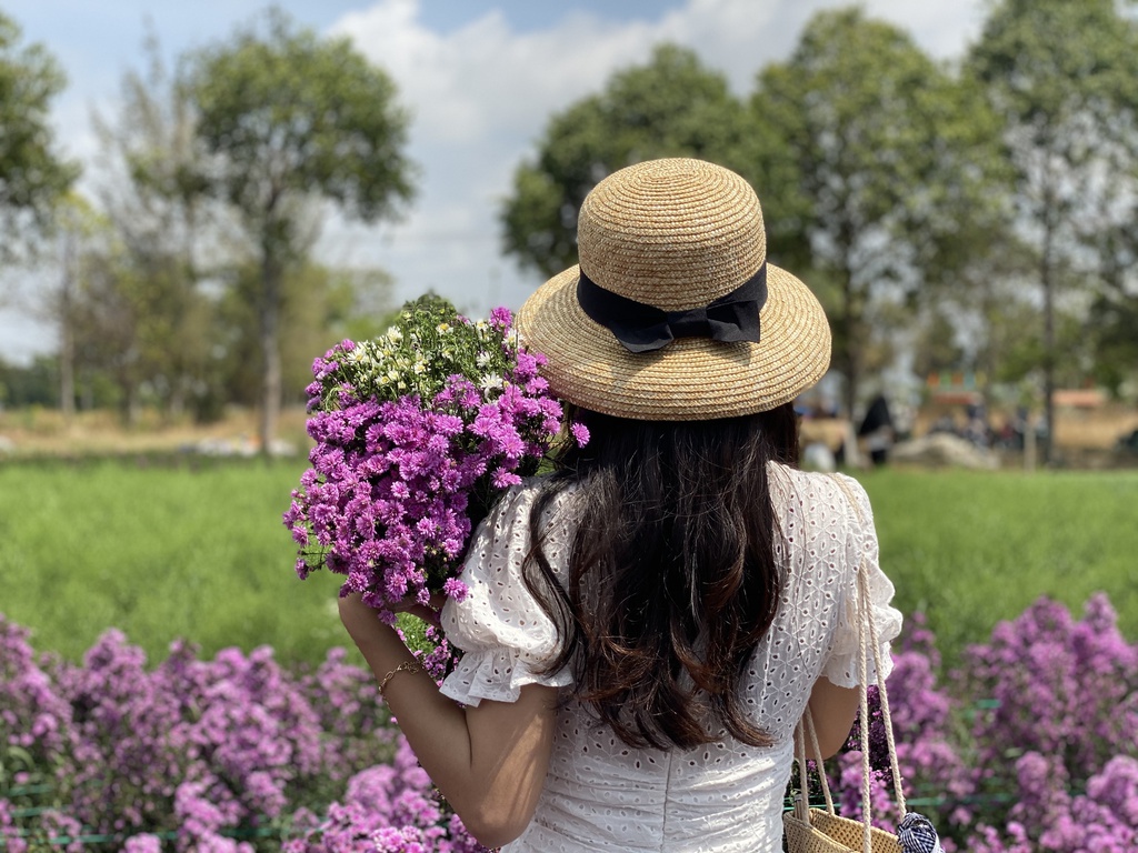 Cánh đồng hoa thạch thảo đẹp mắt trong chuyến du lịch Vũng Tàu ngắn ngày