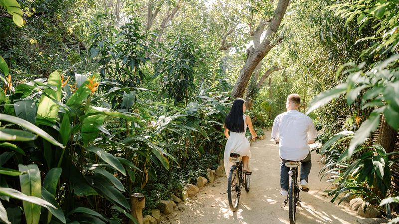Đạp xe tham quan. Ảnh: @anlamretreats_ninhvanbay
