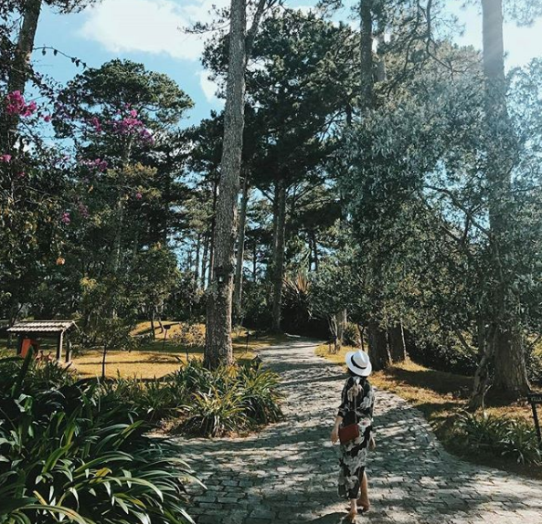Không gian Ana Mandara Đà Lạt