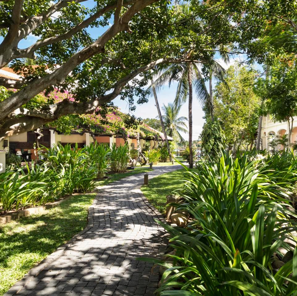 Ảnh: Fb Anantara Hoi An Resort