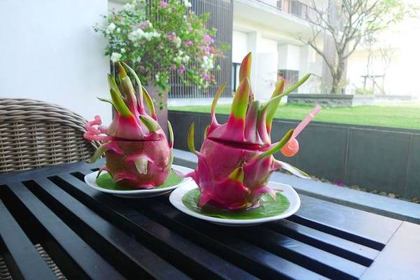 Welcome drink là nước trái cây hỗn hợp được đựng trong vỏ trái thanh long đặc sản Phan Thiết. Đến tối khi dọn phòng vào turn down giường chiếu thì món này sẽ được chuyển sang thành chè táo đỏ cũng đựng trong vỏ thanh long luôn.
