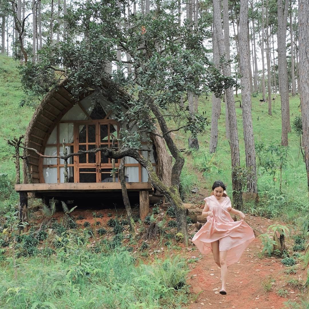Không gian Andante Farm Lodge homestay Đà Lạt