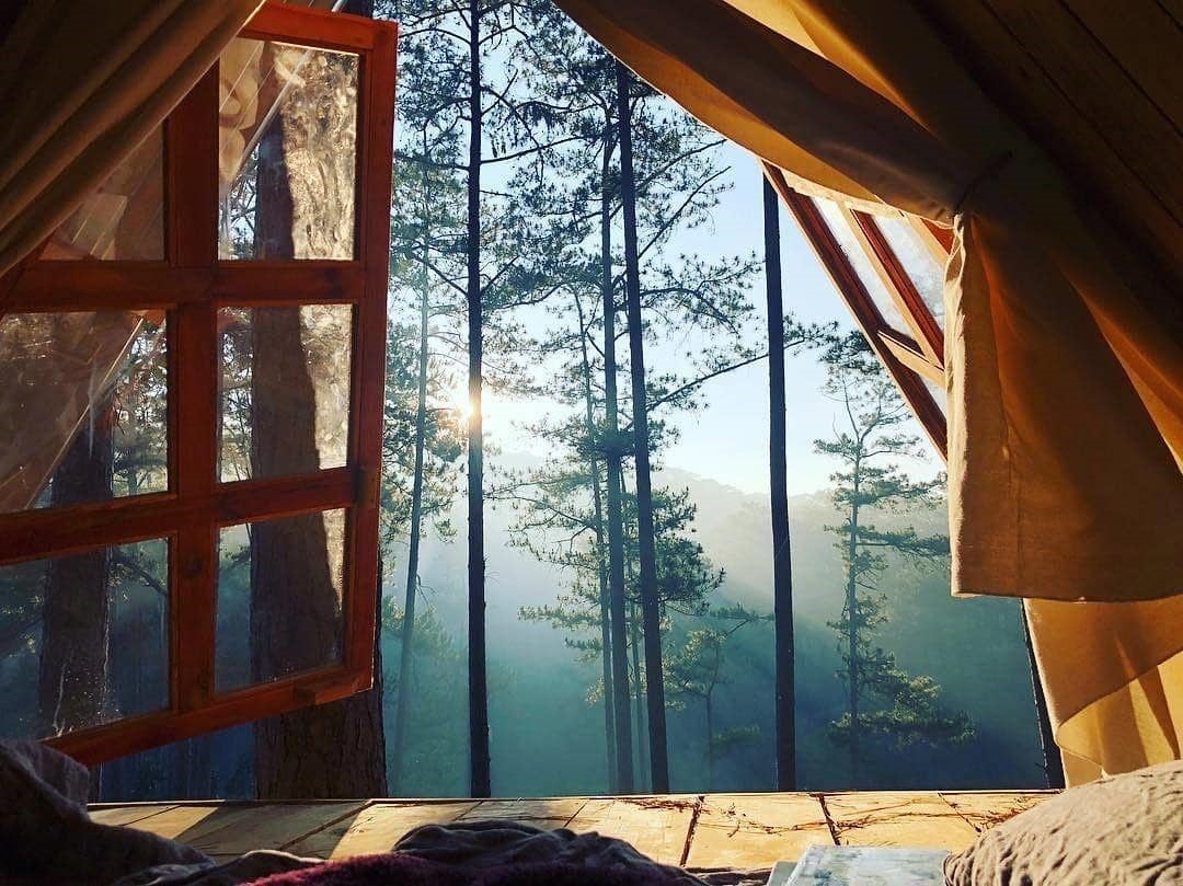 Nhà tranh Andante Farm Lodge Đà Lạt
