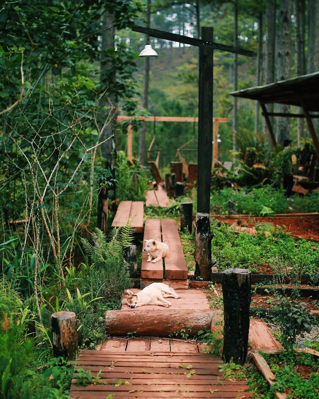 Không gian sinh hoạt Andante Farm Lodge Đà Lạt