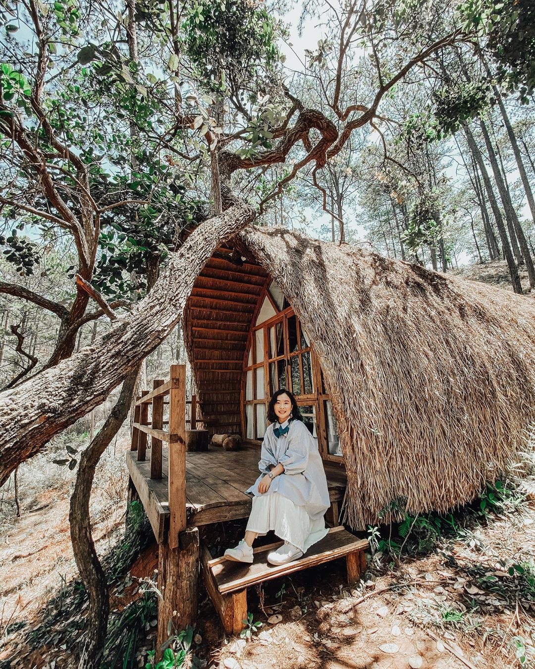 Cảnh quan Andante Farm Lodge giữa rừng Đà Lạt