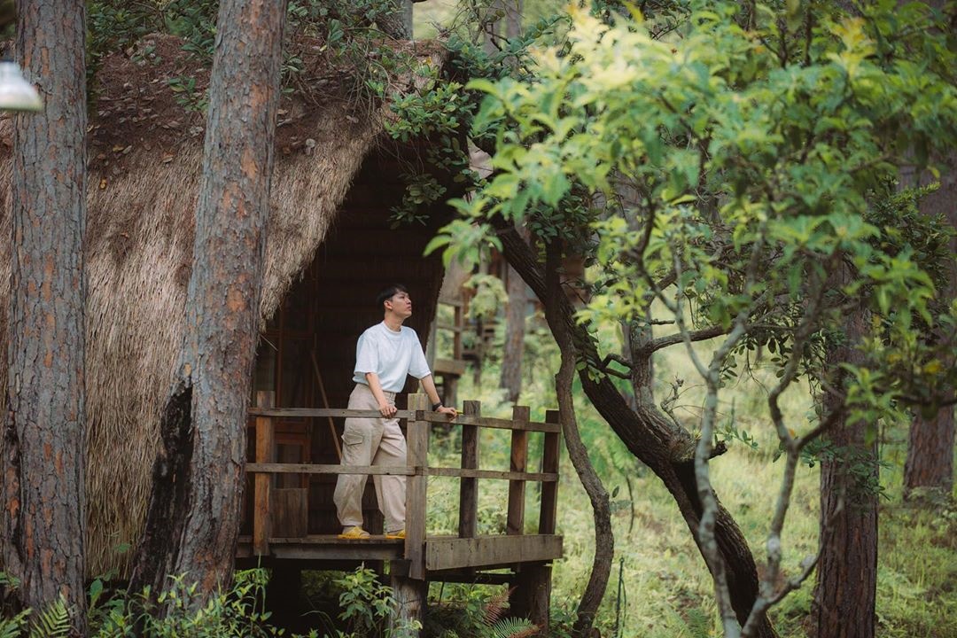Andante Farm & Lodge – Homestay thơ mộng giữa núi rừng Đà Lạt
