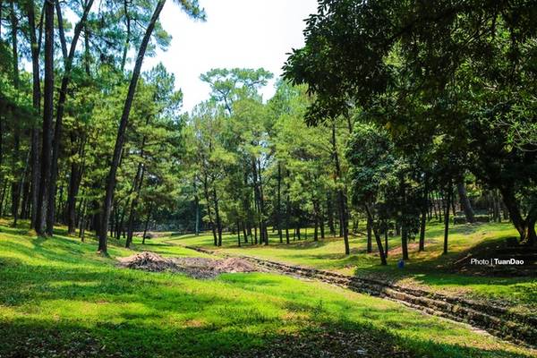 Cả một rừng thông xanh phía sau lăng vua, từ đây có thể đi sang điện Lương Khiêm, xưa là chỗ nghỉ ngơi của vua, sau được dùng để thờ vong linh thái hậu Từ Dũ, mẹ vua Tự Đức.