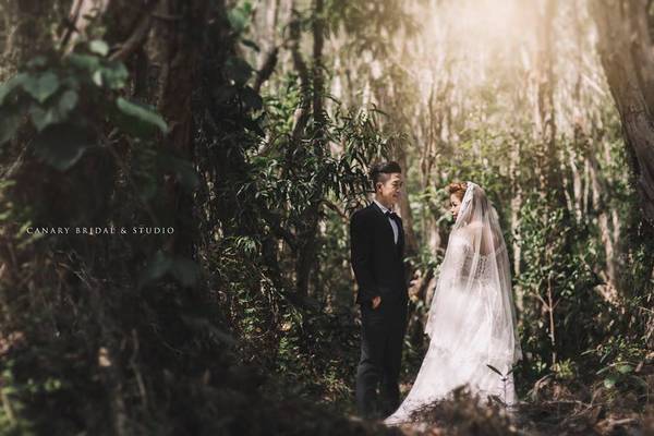 Tuy vậy, trong sự thuần khiết của thiên nhiên và thi vị bởi sự trộn lẫn nhiều yếu tố tự nhiên mộc mạc, lại làm cho bức tranh Hồ Cốc thêm màu sắc và thêm sự quyến rũ.