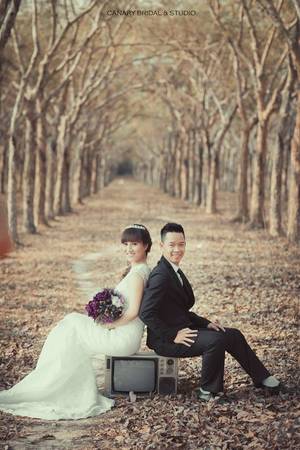 Dọc đường đến Hồ Cốc, bạn cũng dễ dàng tìm ra những hàng cao su thẳng tắp.