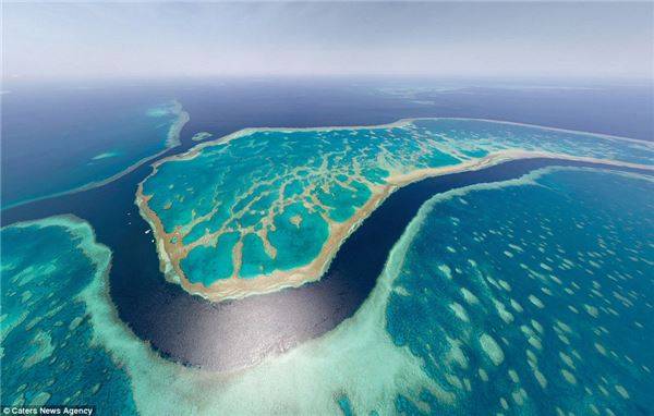 Rặng san hô Great Barrier Reef Australia