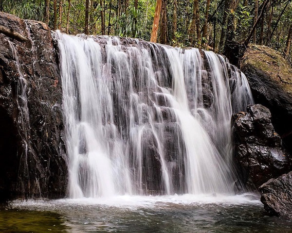Dòng suối Tranh trong vắt giữa rừng phong lan