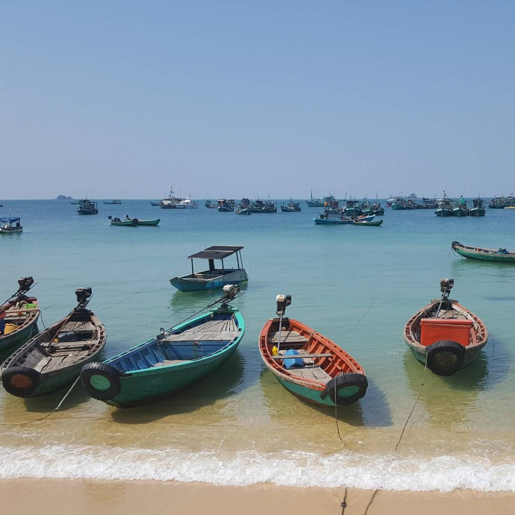 Bãi Vũng Bầu bãi biển đẹp Phú Quốc view cây cọ