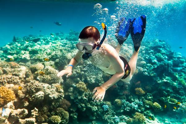 Dịch vụ du lịch tại bãi biển Vũng Bầu