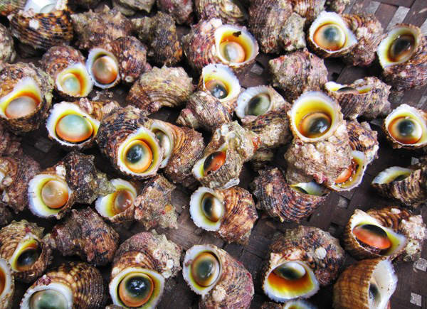Bãi biển Vũng Bầu an toàn cho trẻ em