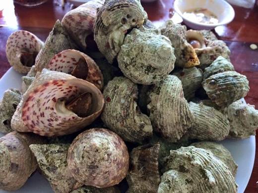 Do được đánh bắt và tiêu thụ trong ngày, hải sản ở đây luôn ở trạng thái tươi ngon nhất mà giá lại rẻ. Các loại hải sản phổ biến ở đây là cá, mực, ghẹ, ốc, cầu gai… đặc biệt là tôm hùm. Tôm hùm to, chắc, vỏ cam đẹp mắt, rất được du khách ưa chuộng. (Nguồn: Internet)
