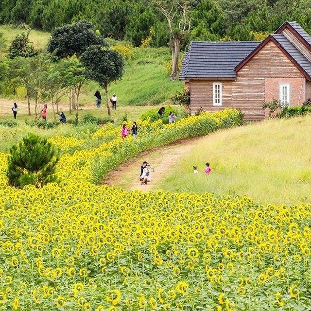 Bảng giá Đà Lạt Milk farm