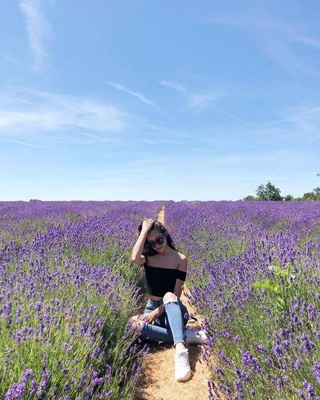 Bảng giá Đà Lạt cánh đồng hoa Lavender