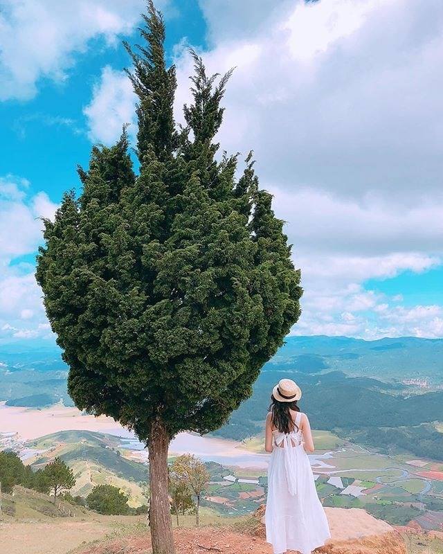 Bảng giá Đà Lạt Langbiang