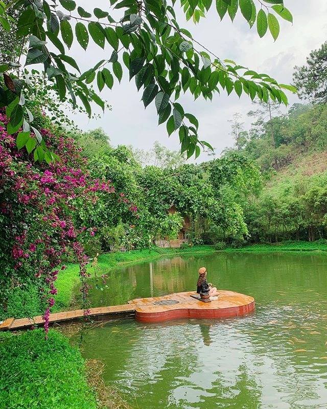 Bảng giá Đà Lạt Ma rừng lữ quán