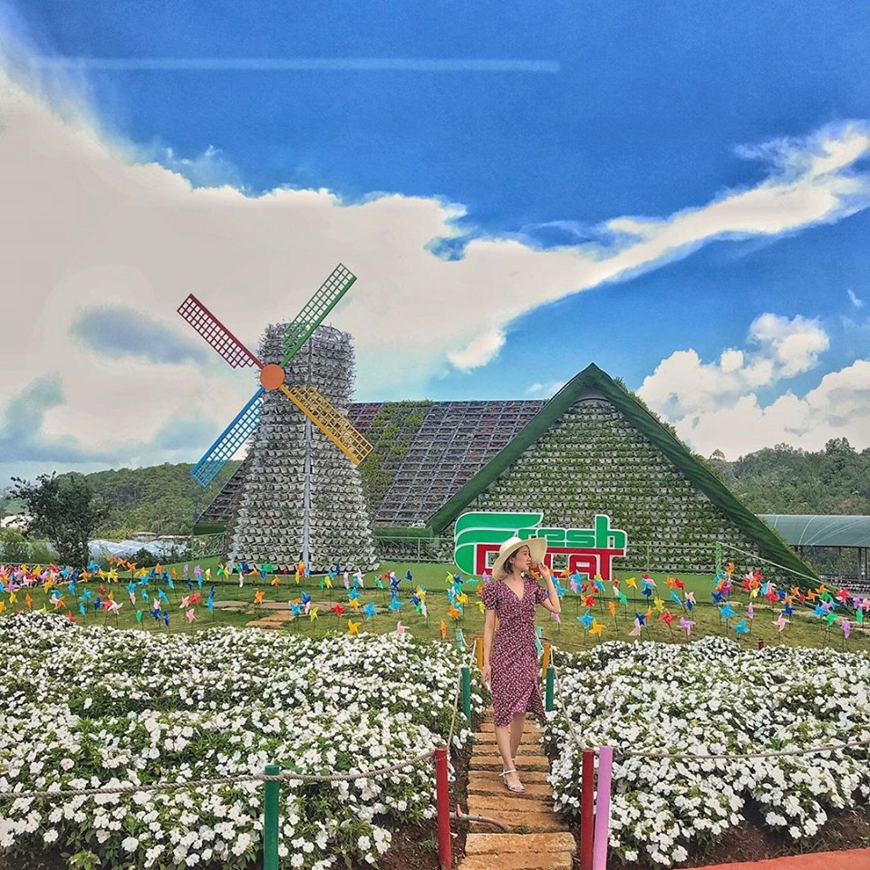 Bảng giá Đà Lạt Fresh garden