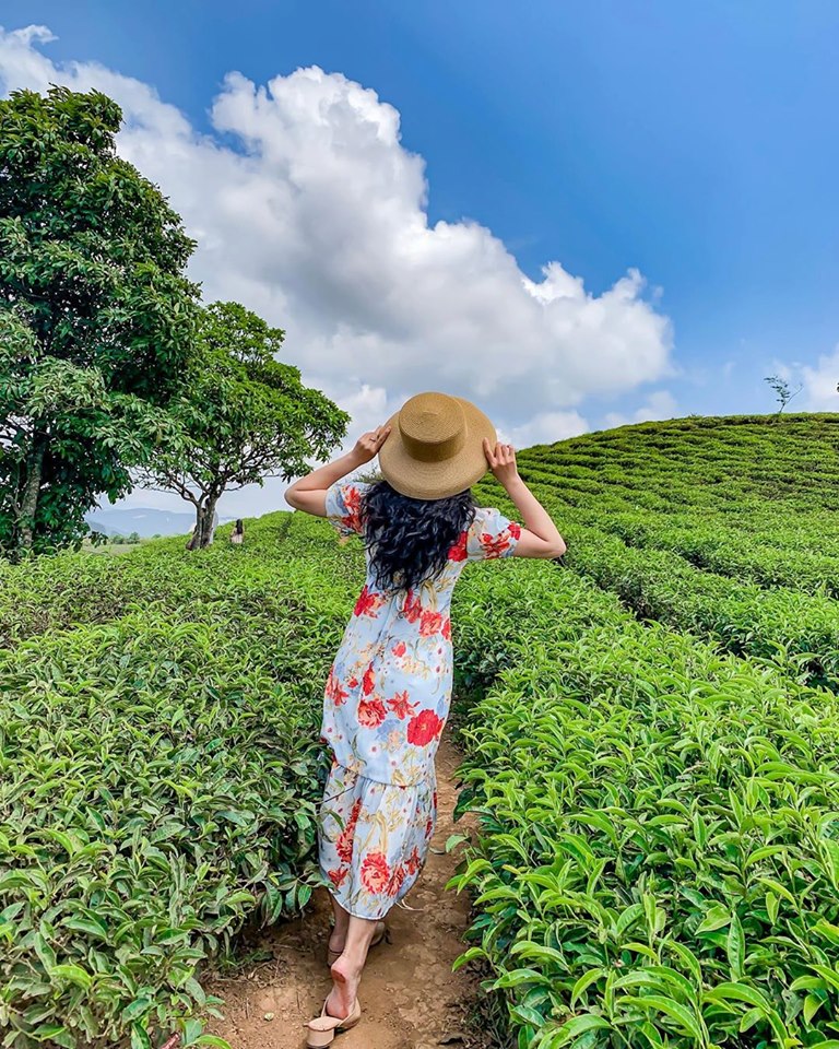 Bảng giá Đà Lạt đồi chè Cầu Đất