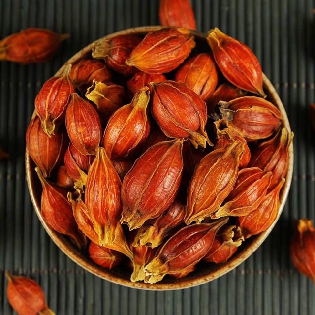 Dành dành tạo màu cho bánh cáy làng Nguyễn