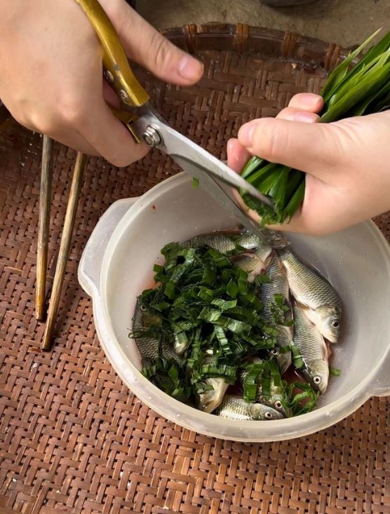 Cắt lá gừng và trộn cùng cá chép đồng