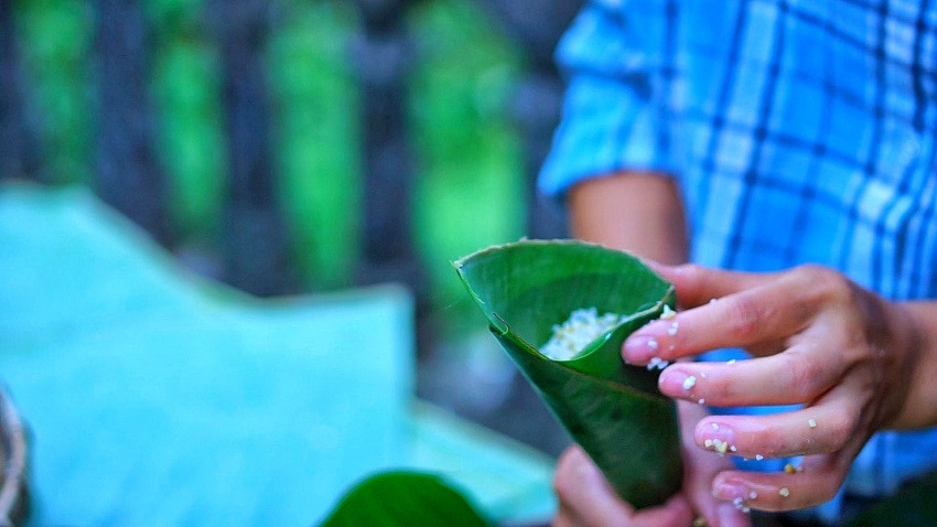Gạo nếp được lèn chặt trong lá chuối lá dong