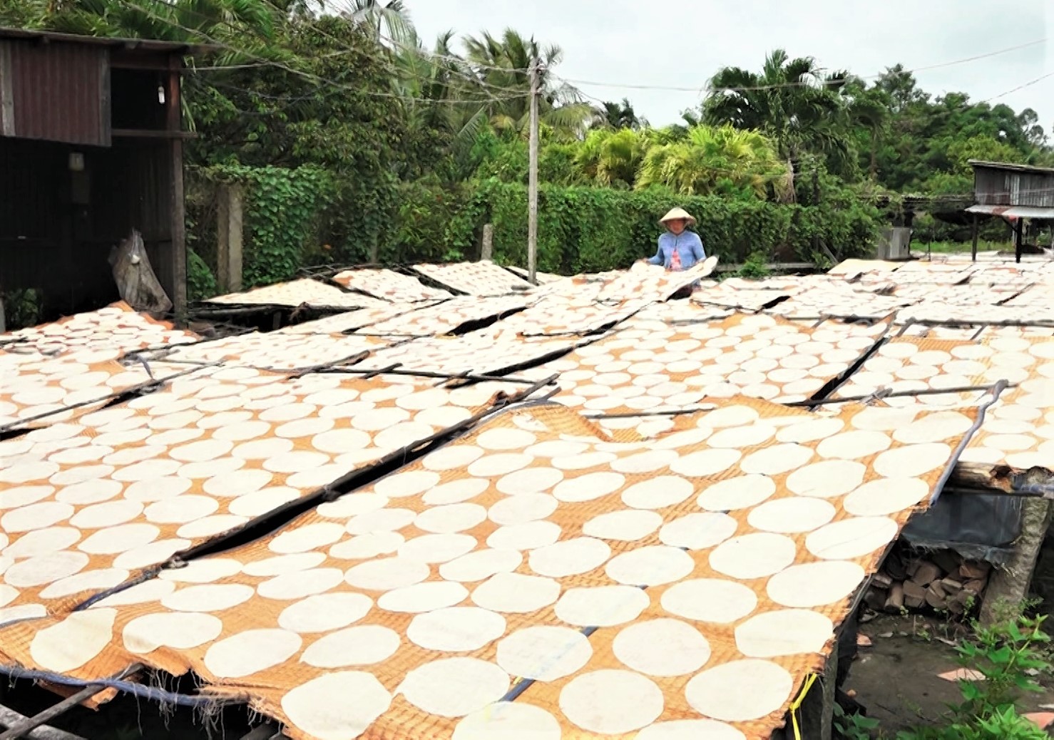 banh-phong-1-1642615596847925738607