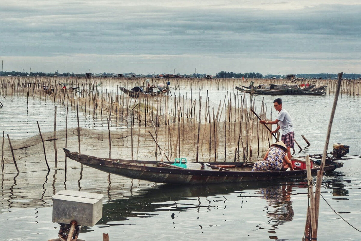 Hải sản đầm Chuồn tươi rói để làm nhân bánh xèo cá kình làng Chuồn