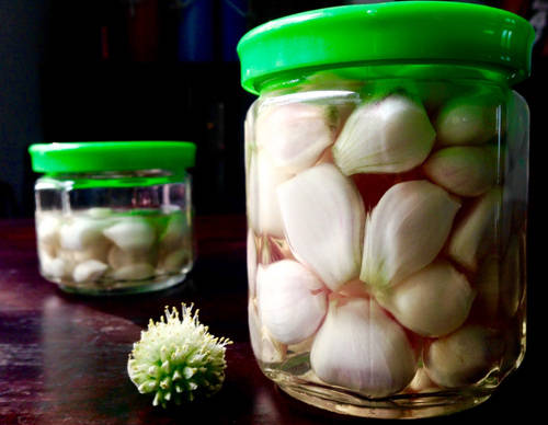 Hành muối được xem là thứ gia vị không thể thiếu trong những ngày Tết.
