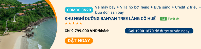 banyan-tree-lang-co