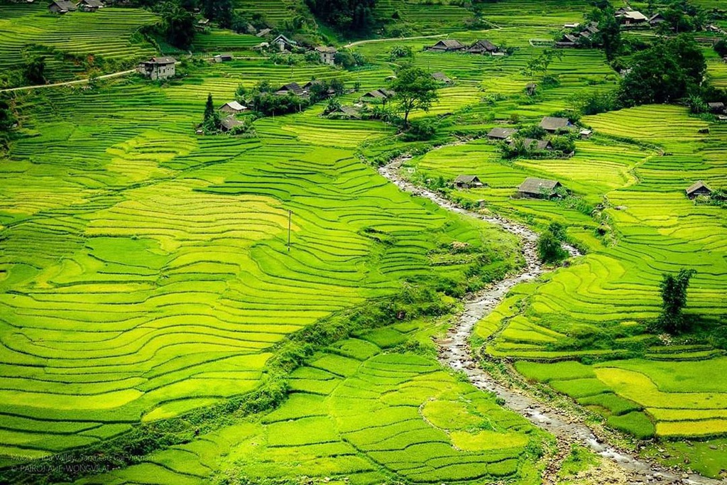 Bản Cát Cát Sapa với ruộng bậc thang trập trùng